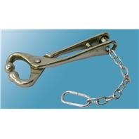 Ideal Instruments - Bull Lead With Chain