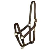 Gatsby Leather - Stable Halter - Cobb