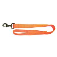 Hamilton Pet - Single Thick Nylon Lead - Orange - 1 Inch x 2 Foot