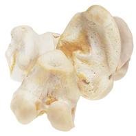 Redbarn Pet Products - White Knuckle Bone