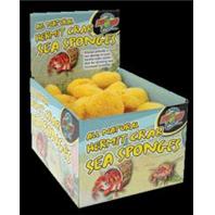 Zoo Med - All Natural Hermit Crab Sea Sponges Display - 36 Piece