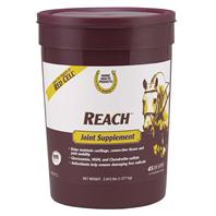 Farnam - Horse Health - Reach Joint Supplement - 2.8 Lb
