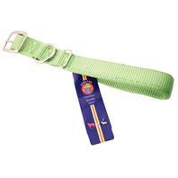 Hamilton Pet - Deluxe Double Thick Nylon Dog Collar - Lime - 1 Inch x 18 Inch