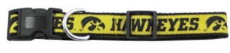 DoggieNation-College - Iowa Hawkeyes Dog Collar - Ribbon - Medium