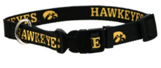 DoggieNation-College - Iowa Hawkeyes Dog Collar - Large
