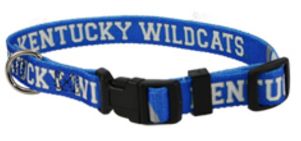 DoggieNation-College - Kentucky Wildcats Dog Collar - Small