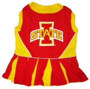 DoggieNation-College - Iowa State Cheerleader Dog Dress - XtraSmall