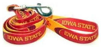 DoggieNation-College - Iowa State Dog Leash - One-Size
