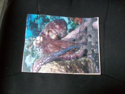 Fine Crafts - Wooden Octopus Jigsaw Puzzle