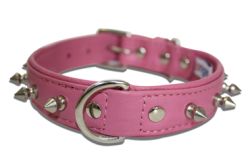 Angel Pet Supplies - Rotterdam Leather Spiked Single-Line Dog Collar - Bubblegum Pink - 22" X 1" 
