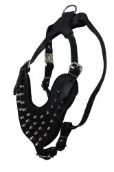 Angel Pet Supplies - Royal Spiked Leather Harness - Black - Large 