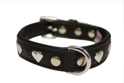 Angel Pet Supplies - Rotterdam Leather "Hearts" Dog Collar - Midnight Black - 14" X 3/4" 