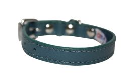 Angel Pet Supplies - Alpine Leather Padded Dog Collar - Ocean Blue - 10" X 1/2"