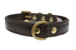 Angel Pet Supplies - Alpine Leather Padded Dog Collar - Chocolate Brown - 12" X 5/8"