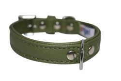 Angel Pet Supplies - Alpine Leather Padded Dog Collar - Olive Green - 14" X 3/4"
