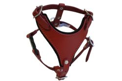 Angel Pet Supplies - Malibu Classic Leather Dog Harness - Valentine Red - Extra Small