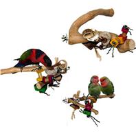 A&E Cage Company - Java Toy Branch Bird Toy - Assorted - Small
