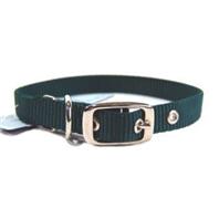 Hamilton Pet - Single Thick Nylon Deluxe Dog Collar - Hunter Green - 0.63 Inch x 16 Inch