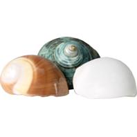 Flukers - Hermit Headquarters Hermit Crab Growth Shells - Assorted - Small/3 Pack