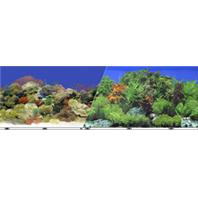 Blue Ribbon Pet Products - Double-Sided Garden/Carribbean Coral Background - 24 Inch