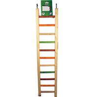 A&E Cage Company - Happy Beaks Wooden Hanging Ladder - Multicolored - 25 Inch