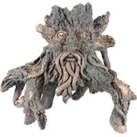 Poppy Pet - Sunken Tree Of Knowledge #6 Driftwood - 13X8X16