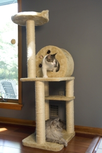  Iconic Pet - Multi Level Cat Tree Playground with multiple sisal posts and condo - Beige