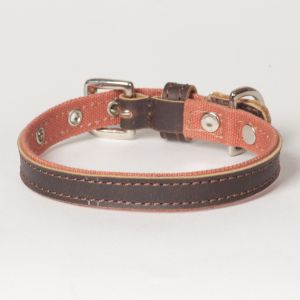 Hound?s Best - X-Small Canvas Leather Dog Collar "Sierra"