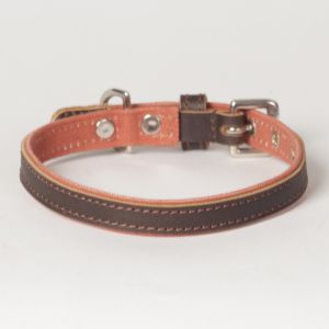 Hound?s Best - Small Canvas Leather Dog Collar "Sierra"