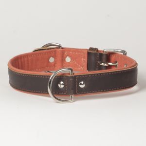 Hound?s Best - Large Canvas Leather Dog Collar "Sierra"