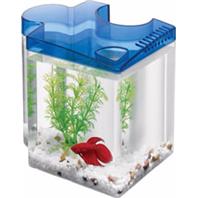 Aqueon Products - Glass - Betta Puzzle Kit - Blue - .5 Gal