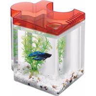 Aqueon Products - Glass - Betta Puzzle Kit - Red - .5 Gal