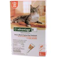 F.C.E. D - Advantage 2 Cat - Orange - 5-9 Pound/4Pack