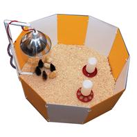 Farm Innovators-Farm - Baby Chick Starter Home - Orange/White
