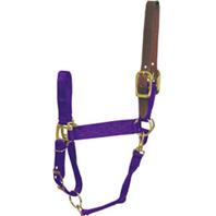 Hamilton Halter Company - Adjustable Horse Halter With Leather Headpole - Purple- Small