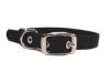 Hamilton Pet - Deluxe Single Thick Nylon Dog Collar - Black - 0.63 Inch x 14 Inch