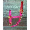 Hamilton Halter - 3-5 Adjustable Halter with Leather Head Pole - Red - Yearling