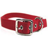 Hamilton Pet - Deluxe Double Thick Nylon Dog Collar - Red - 1 Inch x 30 Inch