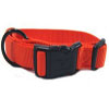 Hamilton Pet - Adjustable Dog Collar - Mango - 1 x 18-26 Inch