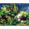 Metro Traders - Two Sided Aquarium Backing Assortment - 36 Pieces