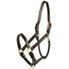 Gatsby Leather - Classic Adjustable Halter Horse