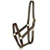 Gatsby Leather - Stable Halter with Snap - Weanling