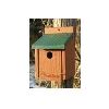 Audubon/Woodlink - Going Green Bluebird House - Green - 6.75 X 6.25 X 13 Inch