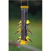 Droll Yankees - New Generation Thistle Feeder - Yellow  - 15 Inch