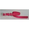 Hamilton Pet - Dog Collar - Pink - 3/8 x 12 Inch