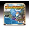 Pine Tree Farms - Never Melt Suet - Insect - 13 oz