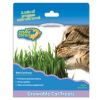 Our Pets - Cosmic Kitty Cat Grass