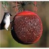 Sweet Corn Products - No/no The Seed Ball Wild Bird Feeder - Red - 6 Inch