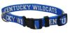 DoggieNation-College - Kentucky Wildcats Dog Collar - Medium