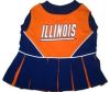DoggieNation-College - Illinois Fighting Illini Cheerleader Dog Dress - Small